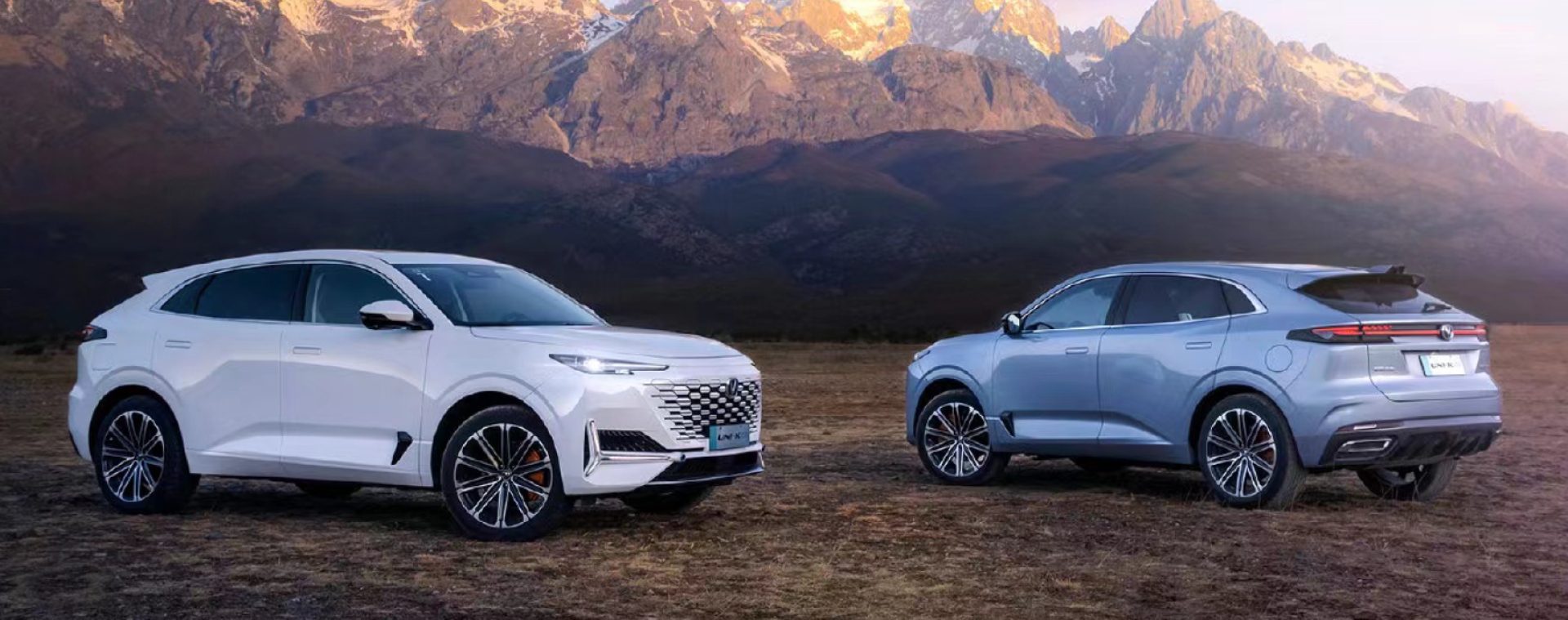 Tracción 4WD: potencia y control total en cualquier camino