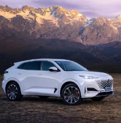 Tracción 4WD: potencia y control total en cualquier camino